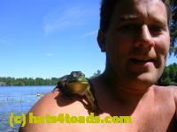 /home//u458753944/public_html/sourcegallery//Frogs/More bullfrogs/DSCN5494.JPG